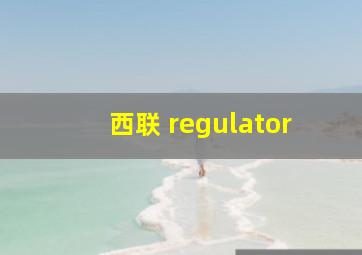 西联 regulator